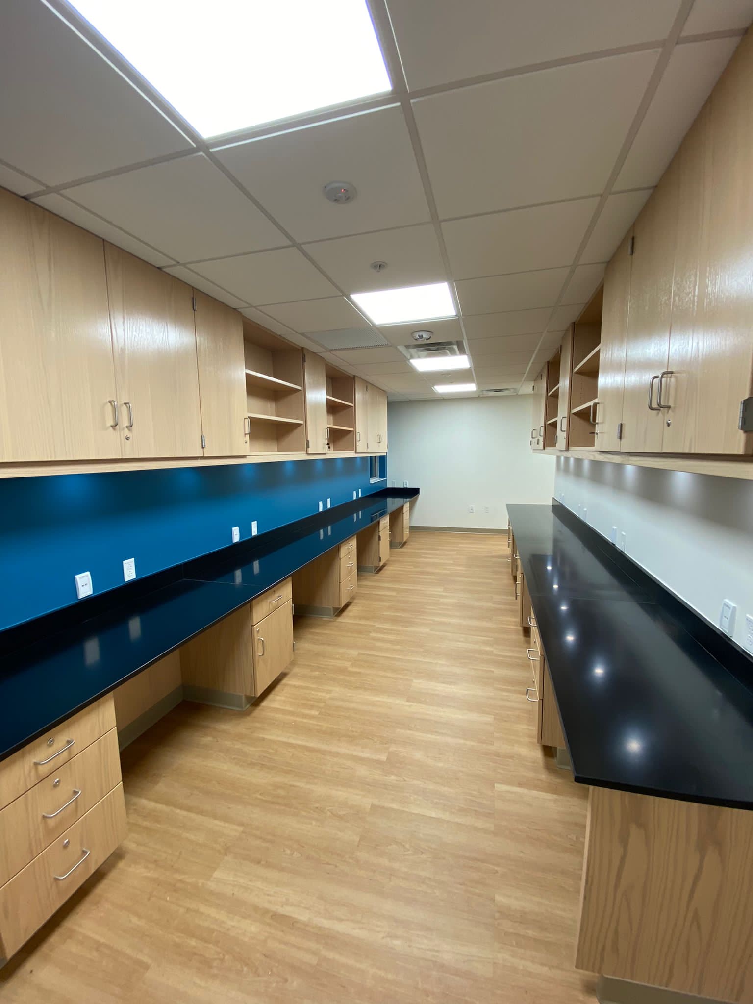 Laboratory with light wood veneer cabinets, black countertops, and a blue backsplash. Overhead and under-cabinet lighting illuminate the workspace.