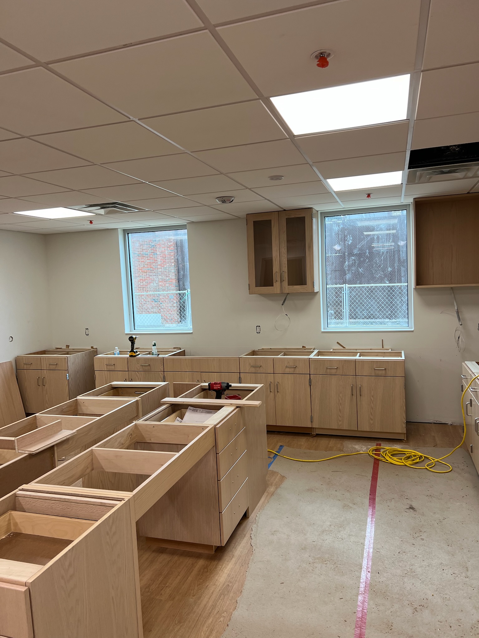 Unfinished birch plywood laboratory casework and upper cabinets with some clear glass doors in a university laboratory.